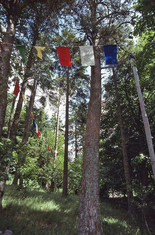 WT 3100 350-05 UK-3 1992.jpg